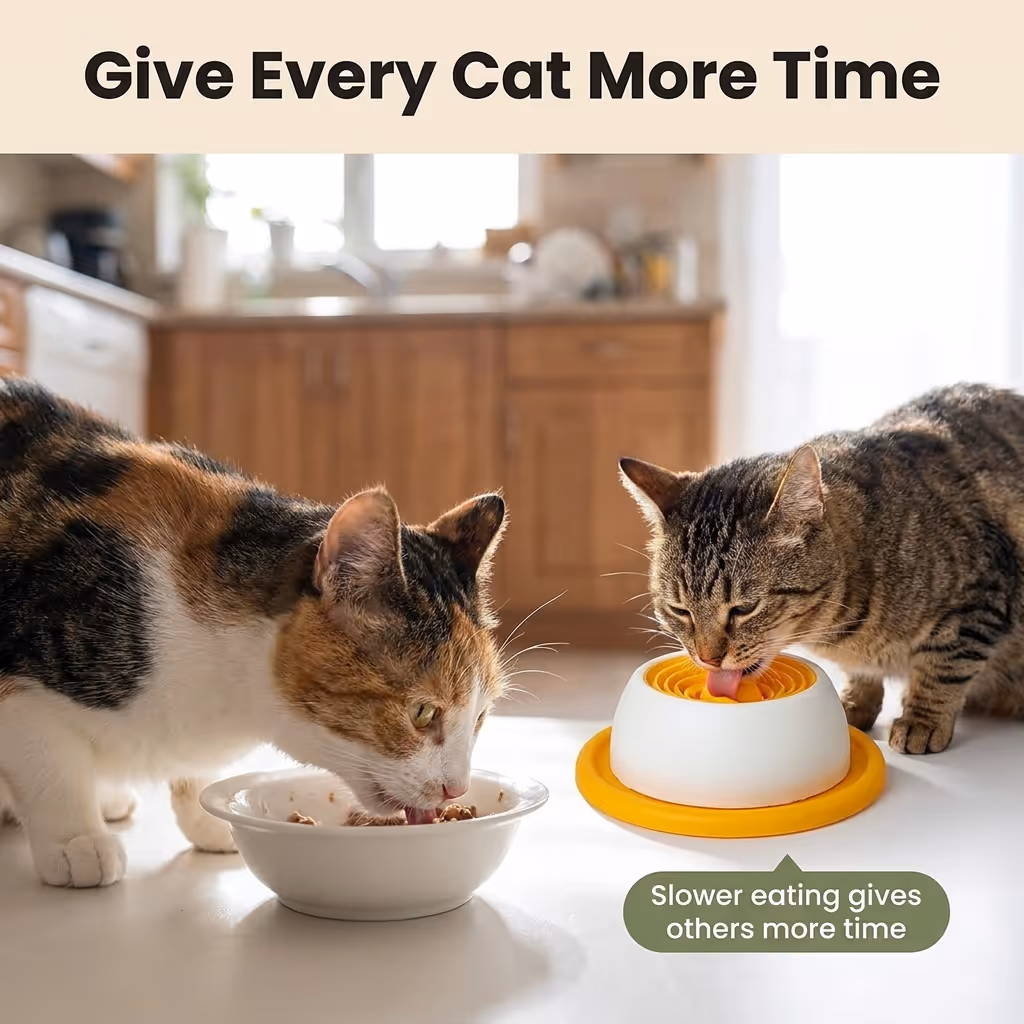 Cat Slow Feeder Bowls — Section 4-1