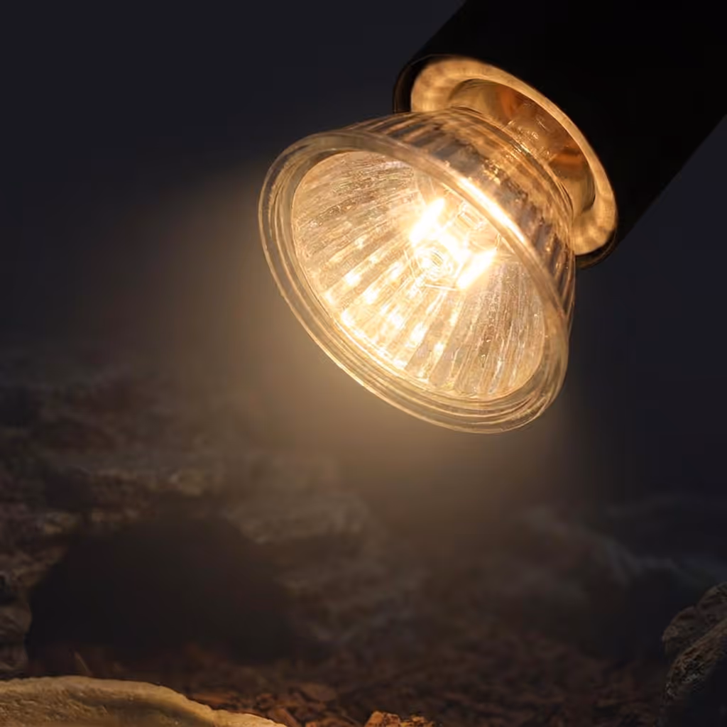 Close-up of the basking bulb and fixture highlighting build quality and safety features